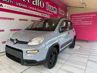 Usata Fiat Panda 4x4 S 84 CV (61 kW) 2019 Grigio Utilitaria