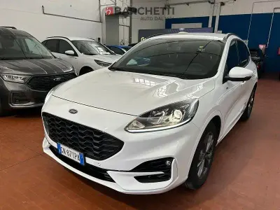 Usata Ford Kuga ST-Line 190 CV (139 kW) 2023 Bianco SUV