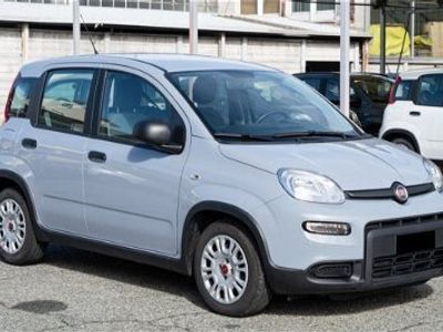 usata Fiat Panda Cross 1.0 FireFly S&S Hybrid City usato