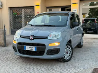 Usata Fiat Panda Easy 69 CV (50 kW) 2018 Grigio Utilitaria