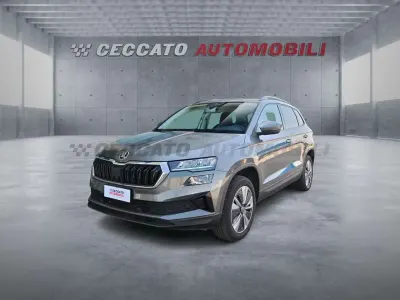 Usata Skoda Karoq Ambition 150 CV (110 kW) 2024 Grigio SUV