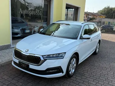 Usata Skoda Octavia