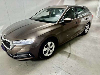 usata Skoda Octavia Wagon 2.0 tdi Executive 150cv dsg