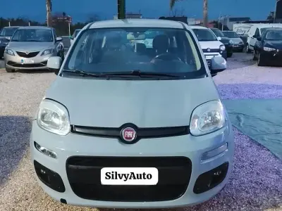 Usata Fiat Panda Lounge 69 CV (50 kW) 2019 Grigio Utilitaria