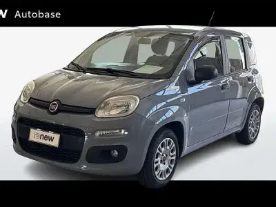 Usata Fiat Panda Easy 69 CV (50 kW) 2019 Grigio chiaro Utilitaria