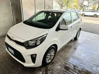 Usata Kia Picanto Urban 67 CV (49 kW) 2024 Bianco Utilitaria