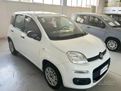 Usata Fiat Panda Easy 69 CV (50 kW) 2017 Bianco Utilitaria