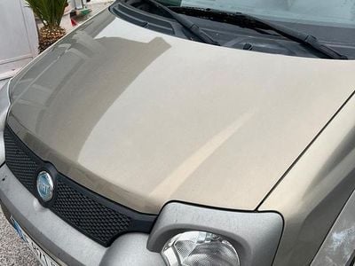 Usata Fiat Panda Cross 2006 Utilitaria