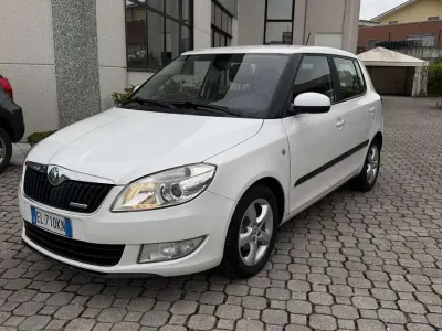 Usata Skoda Fabia