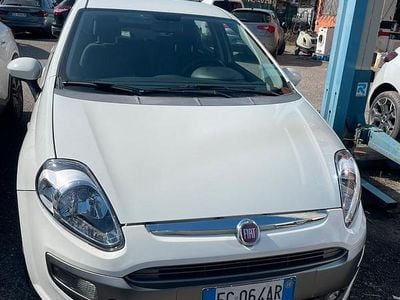 Usata Fiat Punto Evo 2010 Bianco Utilitaria