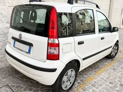 Usata Fiat Panda Dynamic 60 CV (44 kW) 2008 Bianco Utilitaria