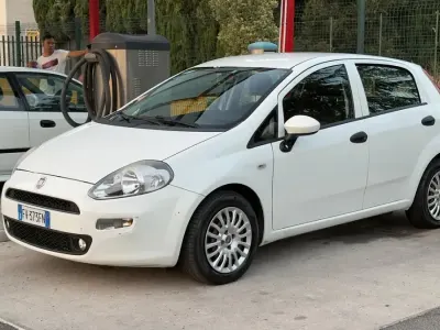 Usata Fiat Punto S 95 CV (69 kW) 2019 Bianco Furgone