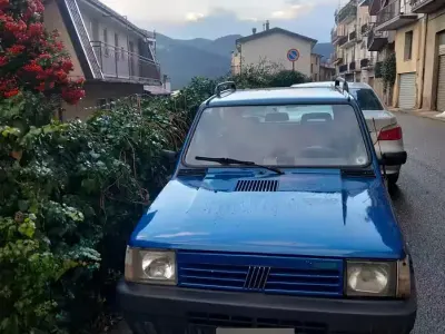Usata Fiat Panda 4x4 Club 54 CV (39 kW) 1996 Bluazzurro Utilitaria