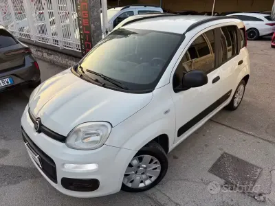 Usata Fiat Panda Lounge 71 CV (52 kW) 2020 Bianco Utilitaria