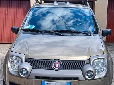 Usata Fiat Panda 4x4 Cross 2009 Verde Utilitaria