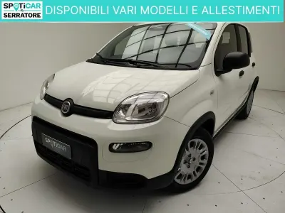Usata Fiat Panda 70 CV (51 kW) 2024 Bianco Utilitaria
