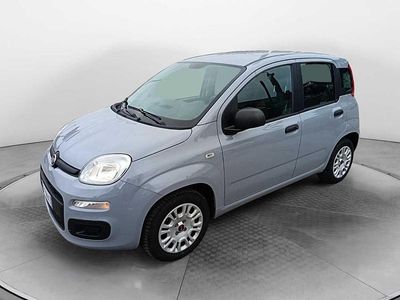 Usata Fiat Panda Easy 2019 Grigio Utilitaria