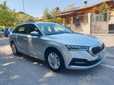 Usata Skoda Octavia