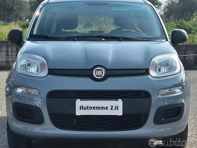 Usata Fiat Panda Easy 69 CV (50 kW) 2019 Grigio Utilitaria