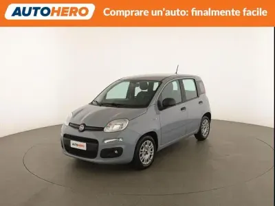 Usata Fiat Panda Easy 70 CV (51 kW) 2020 Grigio Utilitaria