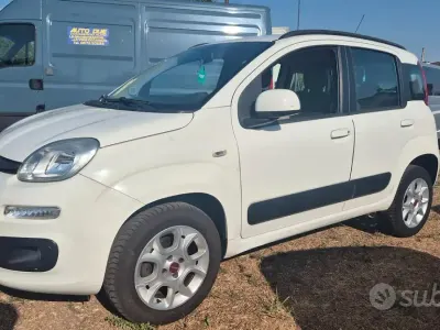 Usata Fiat Panda Lounge 80 CV (58 kW) 2015 Bianco Utilitaria