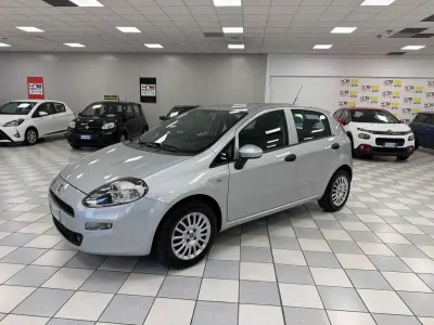 Usata Fiat Punto Lounge 77 CV (56 kW) 2017 Argento Utilitaria