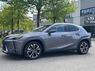 Usata Lexus UX 250h Luxury Line 152 CV (111 kW) 2020 Grigio SUV