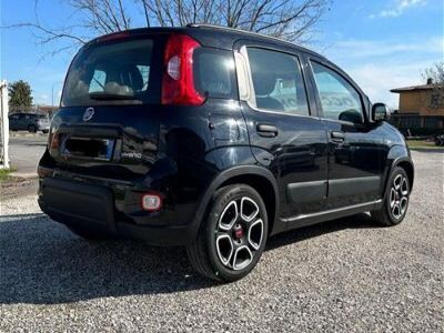 usata Fiat Panda Cross 1.0 FireFly S&S Hybrid City usato