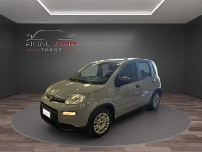 Usata Fiat Panda