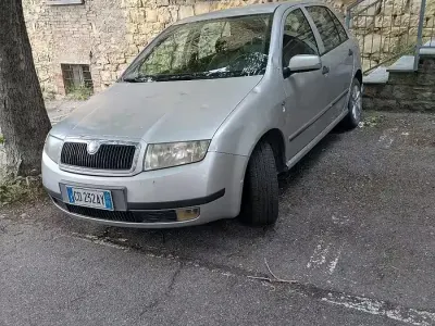 Usata Skoda Fabia