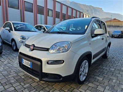 usata Fiat Panda Cross 1.0 FireFly S&S Hybrid City usato