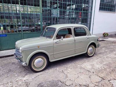 Verde Usata 1954 Fiat 1100 Berlina | 12.000 €