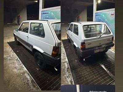 Usata Fiat Panda 4x4 1987 Grigio Utilitaria