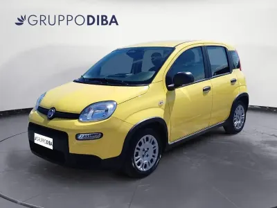 Usata Fiat Panda S 70 CV (51 kW) 2024 Giallo Utilitaria