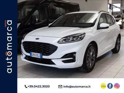 Usata Ford Kuga ST-Line 190 CV (139 kW) 2023 Bianco frozen SUV