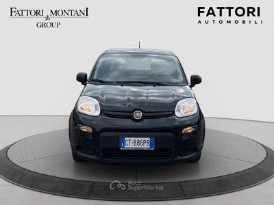 Usata Fiat Panda S 71 CV (52 kW) 2024 Nero Utilitaria