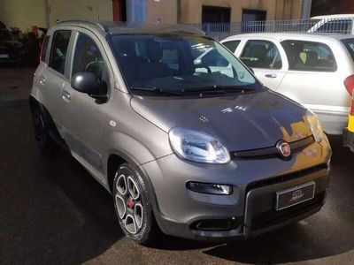 usata Fiat Panda hybrid