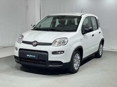 Occasion Fiat Panda S 69 ch (50 kW) 2024 Blanc Citadine