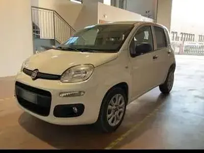 Usata Fiat Panda 80 CV (58 kW) 2015 Utilitaria