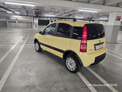 Usata Fiat Panda 4x4 60 CV (44 kW) 2005 Giallo Utilitaria