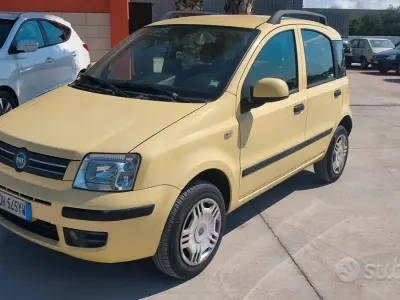 Usata Fiat Panda Dynamic 60 CV (44 kW) 2007 Giallo Utilitaria