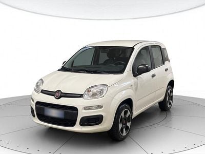 Usata Fiat Panda Easy 70 CV (51 kW) 2020 Bianco gelato Utilitaria