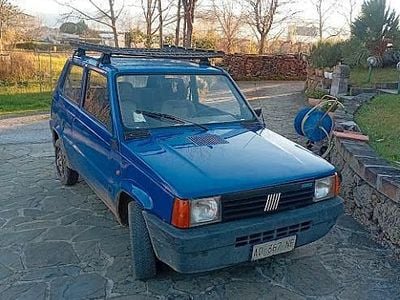 Usata Fiat Panda 1994 Blu Berlina