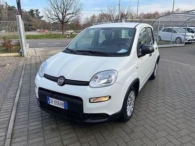 Usata Fiat Panda S 69 CV (50 kW) 2023 Bianco Utilitaria
