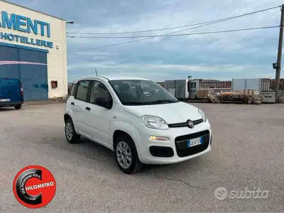 Usata Fiat Panda Easy 71 CV (52 kW) 2020 Bianco Utilitaria