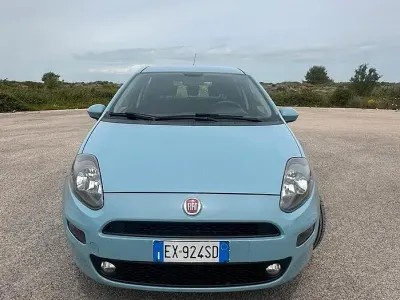 Usata Fiat Punto Lounge 69 CV (50 kW) 2014 Grigio Utilitaria