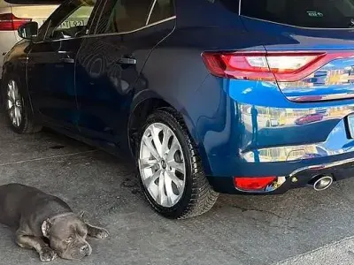 Usata Renault Mégane IV 88 CV (64 kW) 2018 Berlina