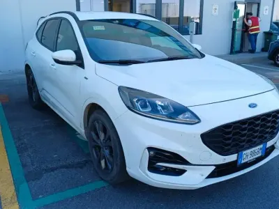 Usata Ford Kuga ST-Line 149 CV (109 kW) 2022 Bianco SUV