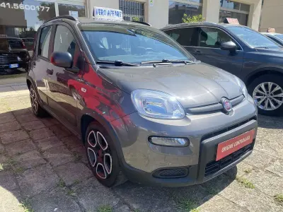 Usata Fiat Panda City Life 69 CV (50 kW) 2021 Other Utilitaria