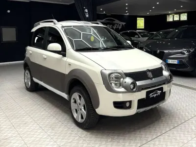 Usata Fiat Panda 4x4 Cross 75 CV (55 kW) 2011 Bianco Utilitaria
